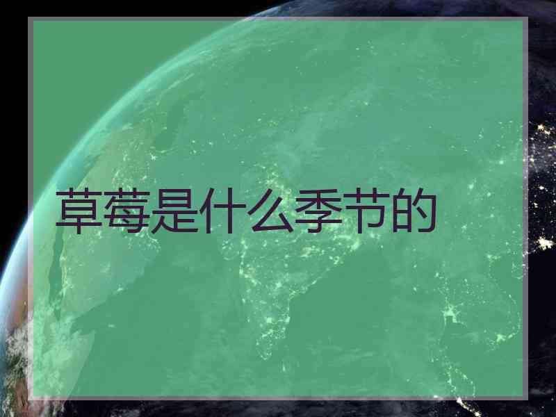 草莓是什么季节的