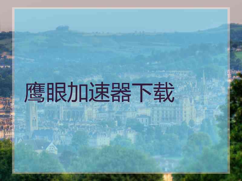 鹰眼加速器下载