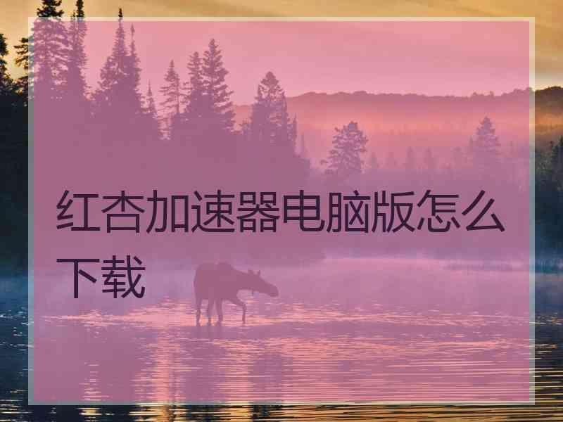 红杏加速器电脑版怎么下载