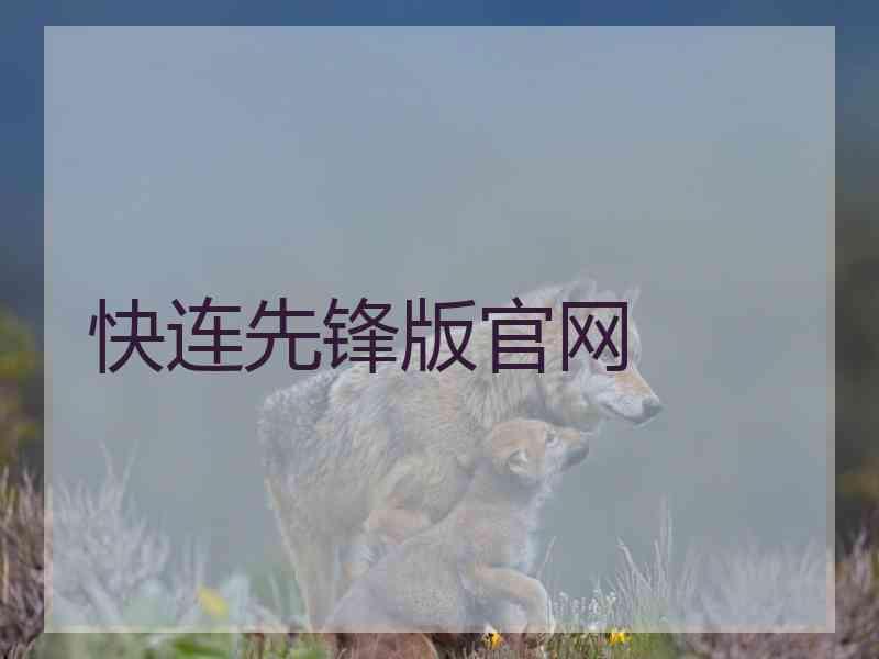 快连先锋版官网