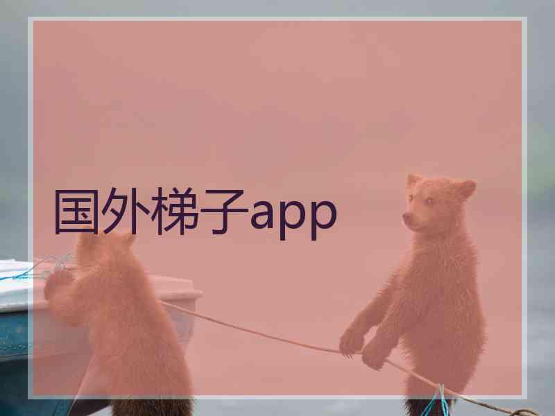 国外梯子app