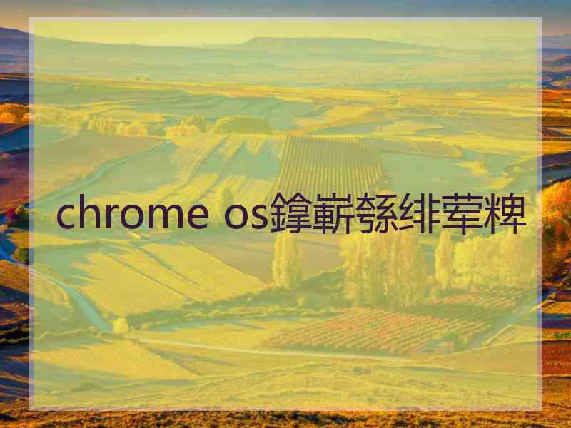 chrome os鎿嶄綔绯荤粺