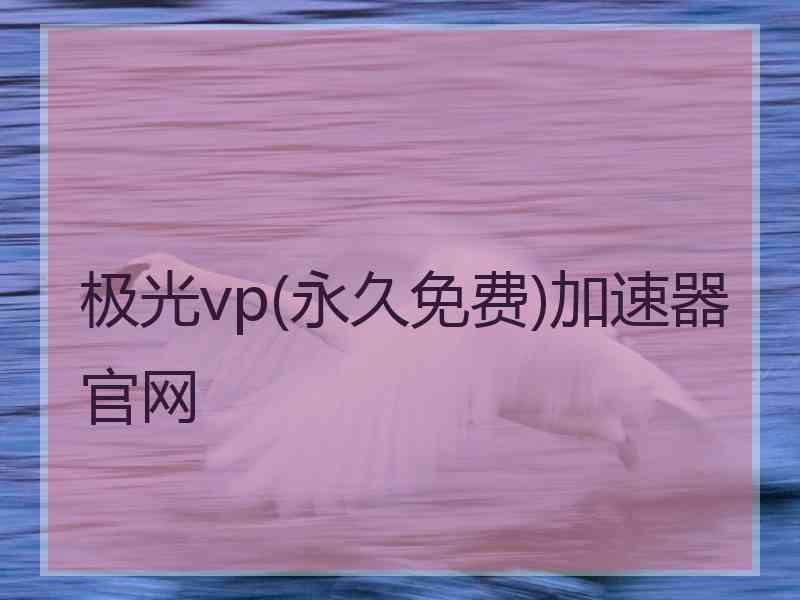 极光vp(永久免费)加速器官网