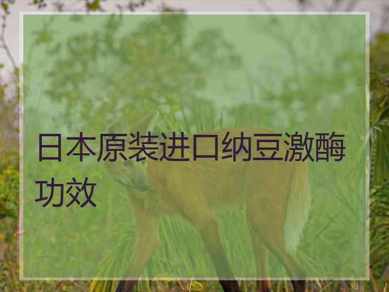 日本原装进口纳豆激酶功效