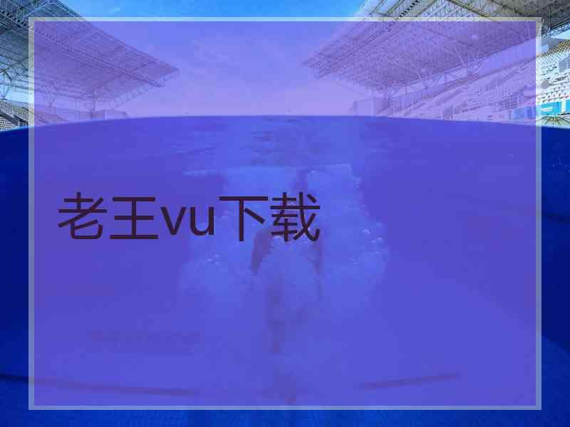 老王vu下载