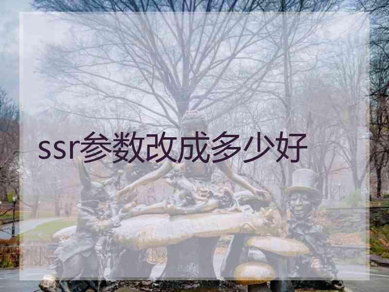 ssr参数改成多少好