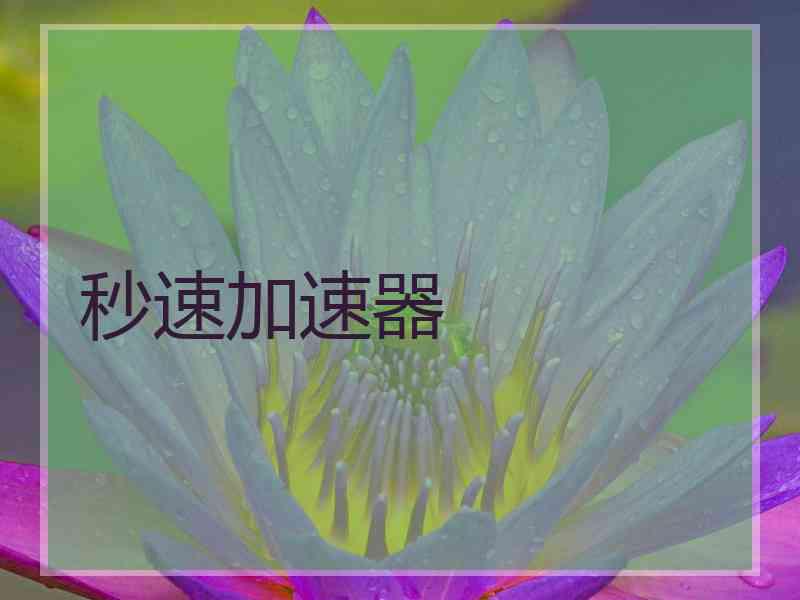 秒速加速器