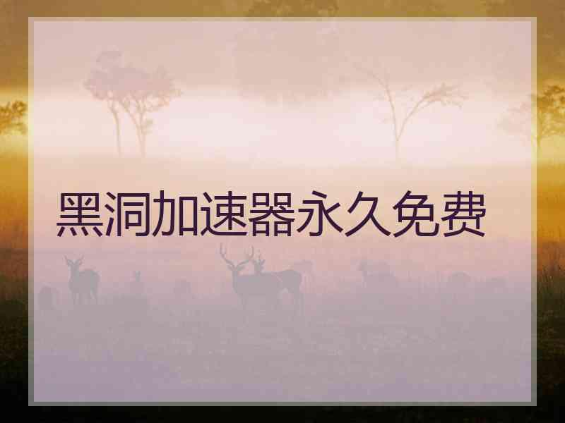 黑洞加速器永久免费