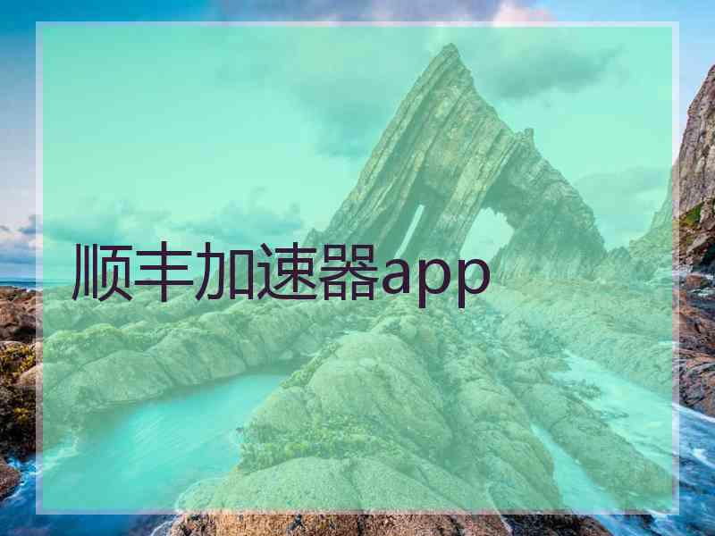 顺丰加速器app
