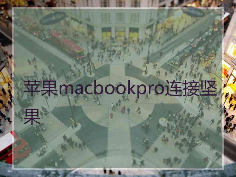 苹果macbookpro连接坚果