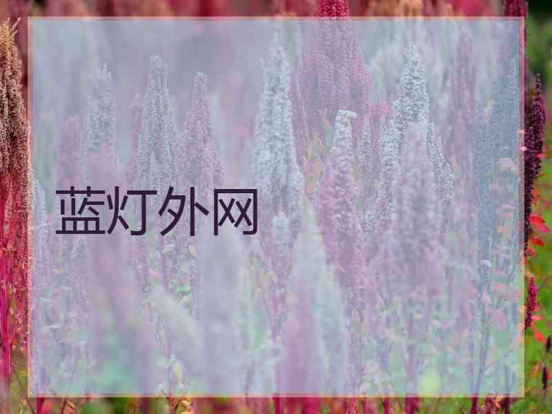 蓝灯外网