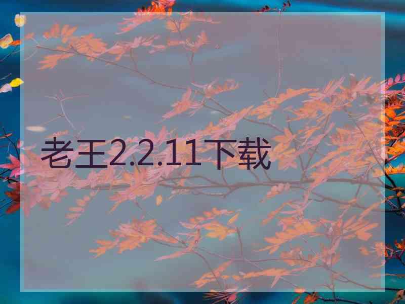 老王2.2.11下载