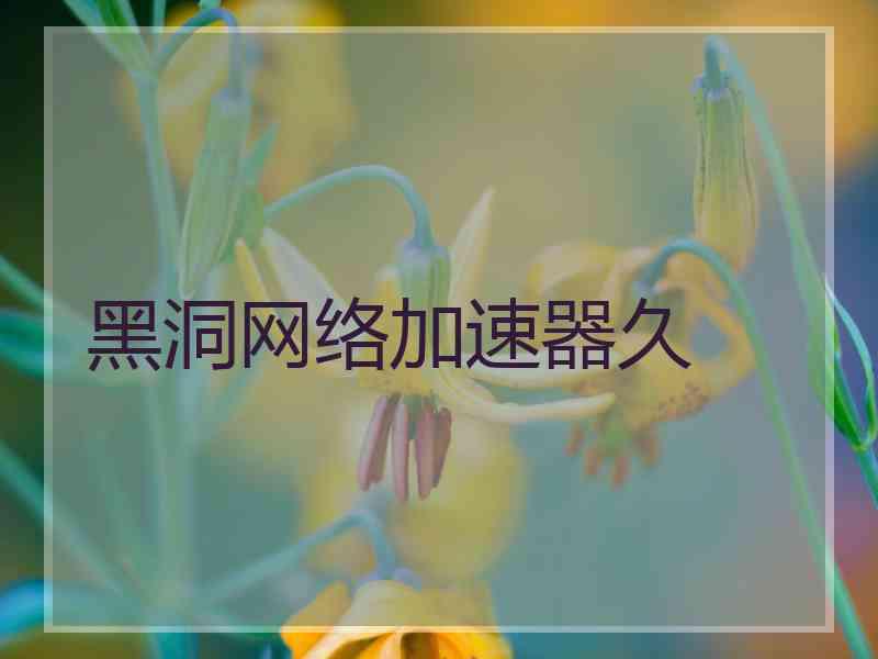 黑洞网络加速器久