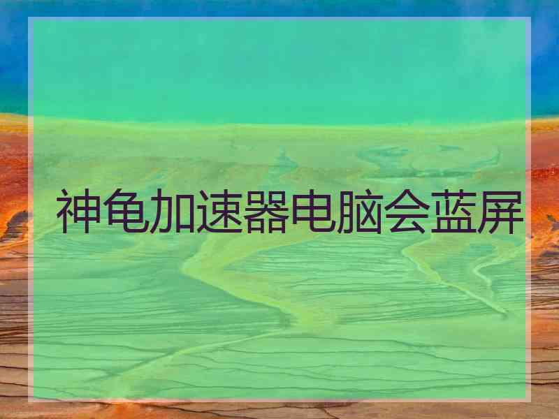 神龟加速器电脑会蓝屏