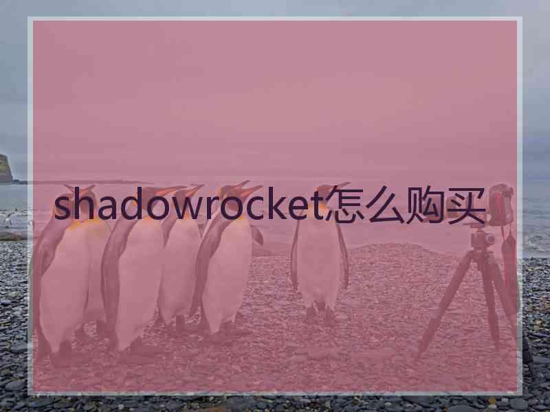 shadowrocket怎么购买
