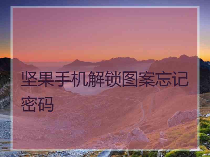 坚果手机解锁图案忘记密码