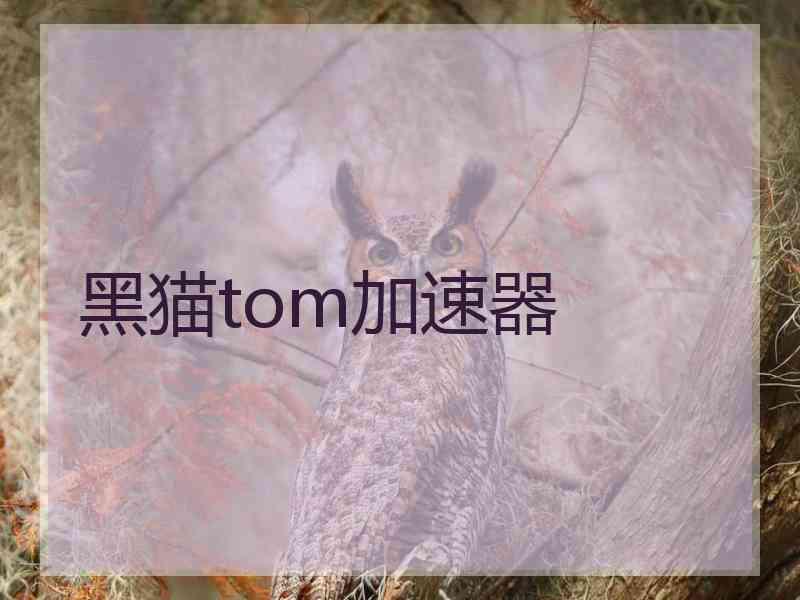 黑猫tom加速器