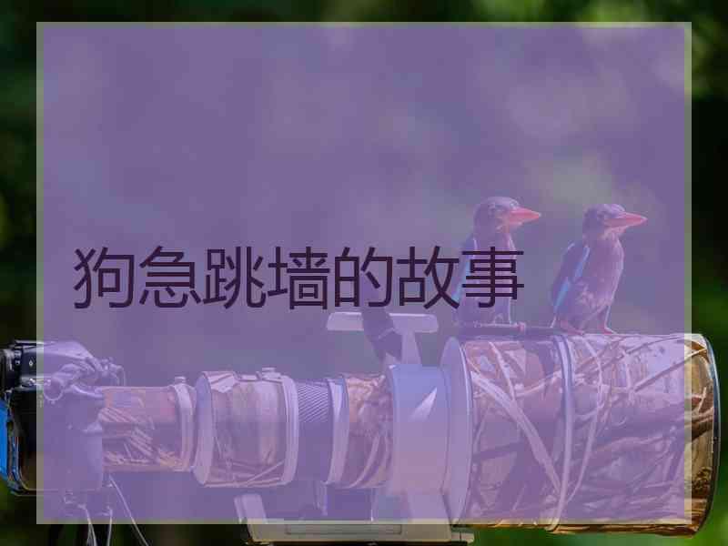 狗急跳墙的故事