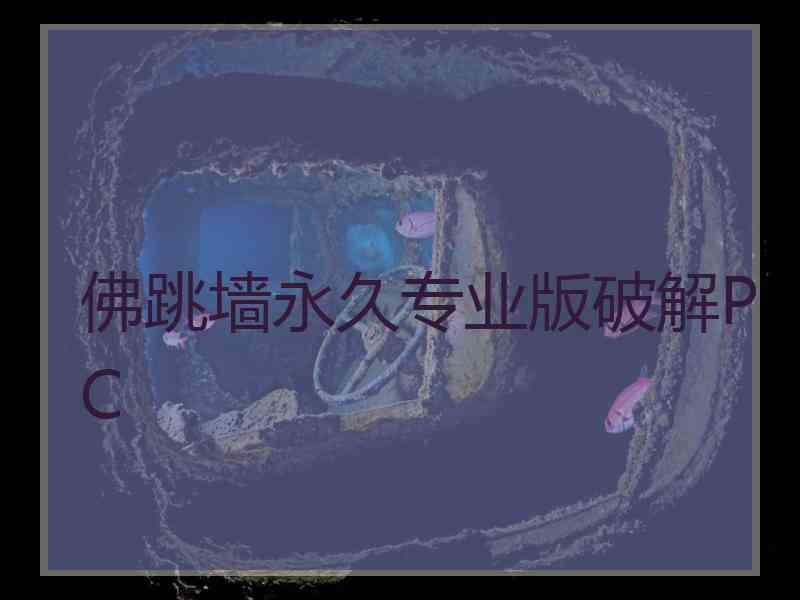 佛跳墙永久专业版破解PC