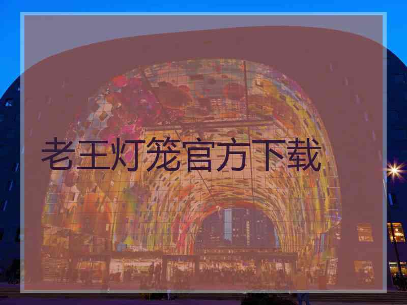 老王灯笼官方下载