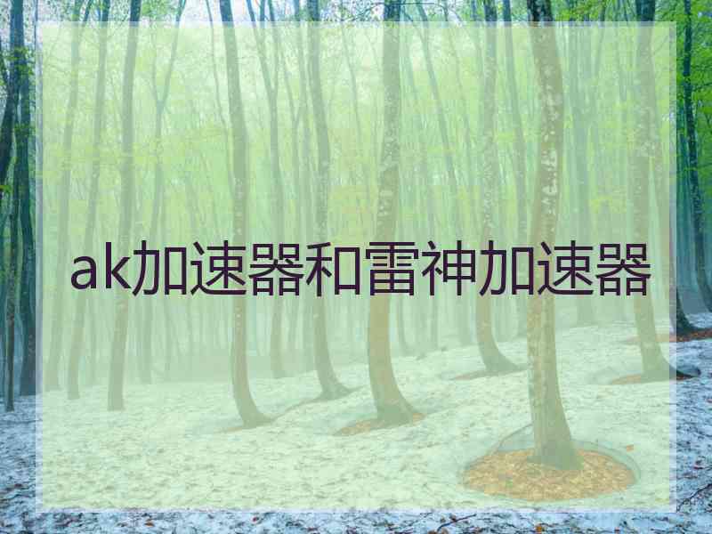 ak加速器和雷神加速器