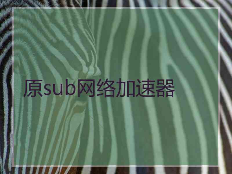 原sub网络加速器