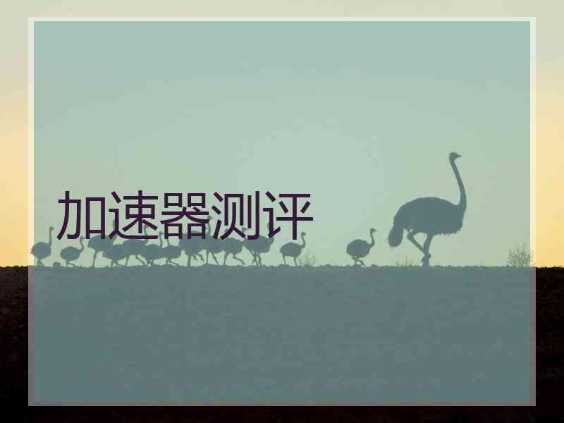 加速器测评
