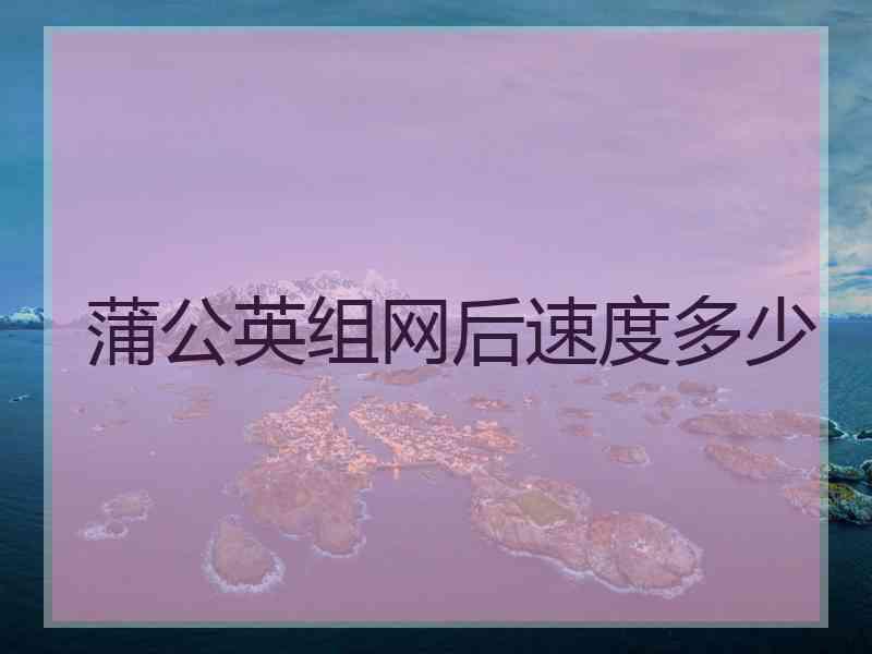 蒲公英组网后速度多少