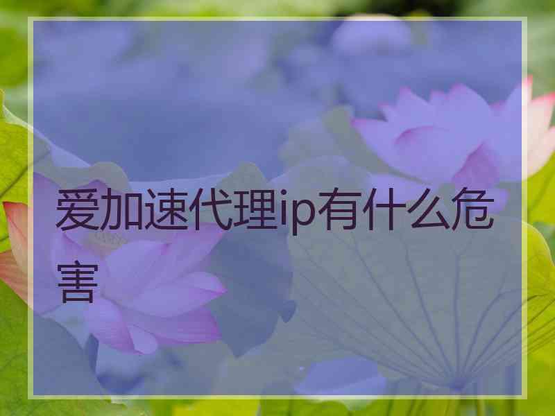 爱加速代理ip有什么危害