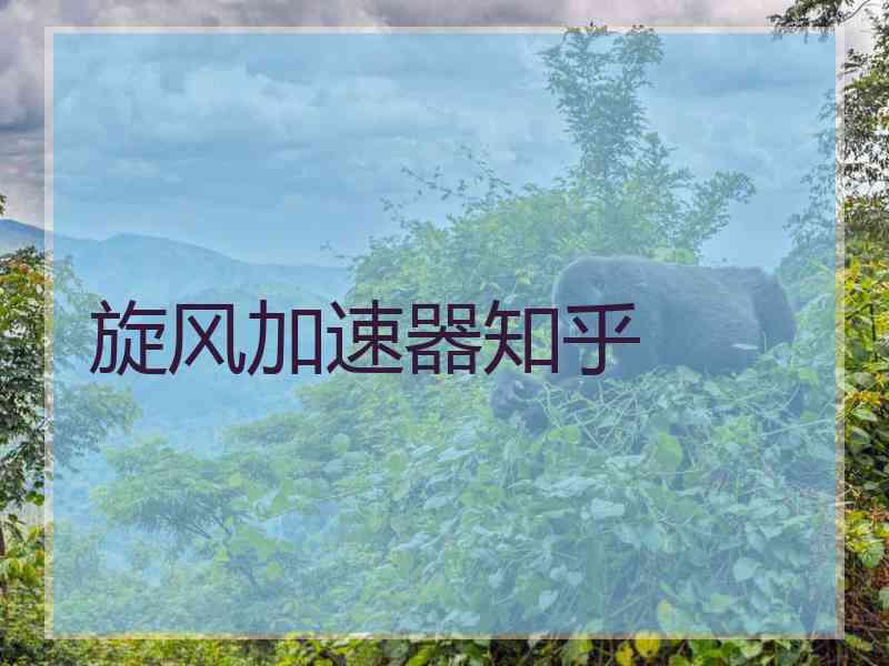 旋风加速器知乎
