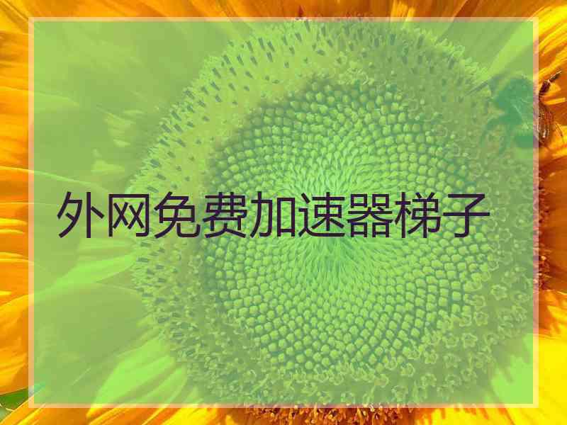 外网免费加速器梯子