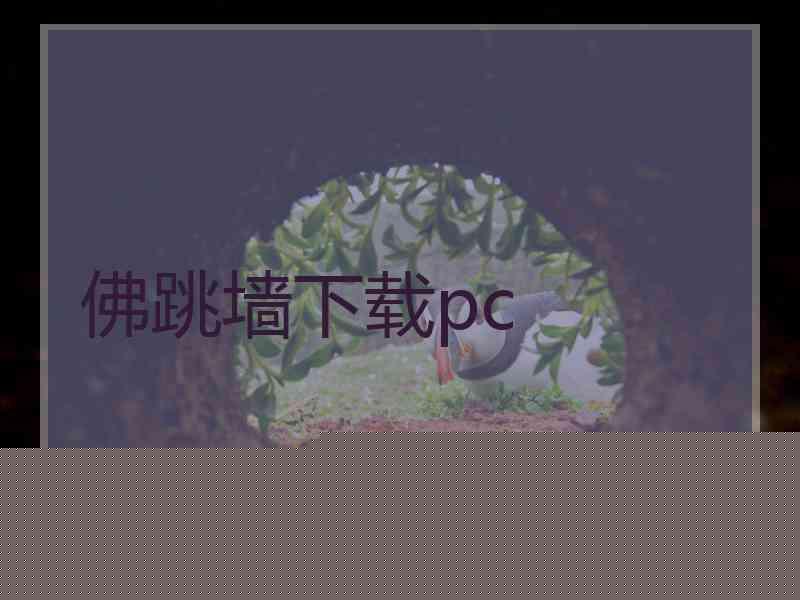 佛跳墙下载pc
