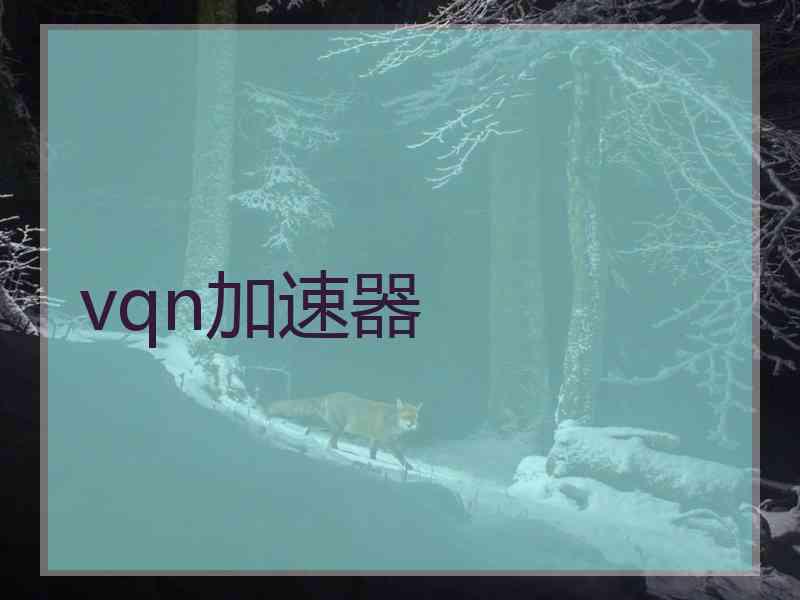 vqn加速器