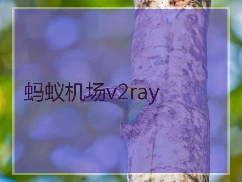 蚂蚁机场v2ray