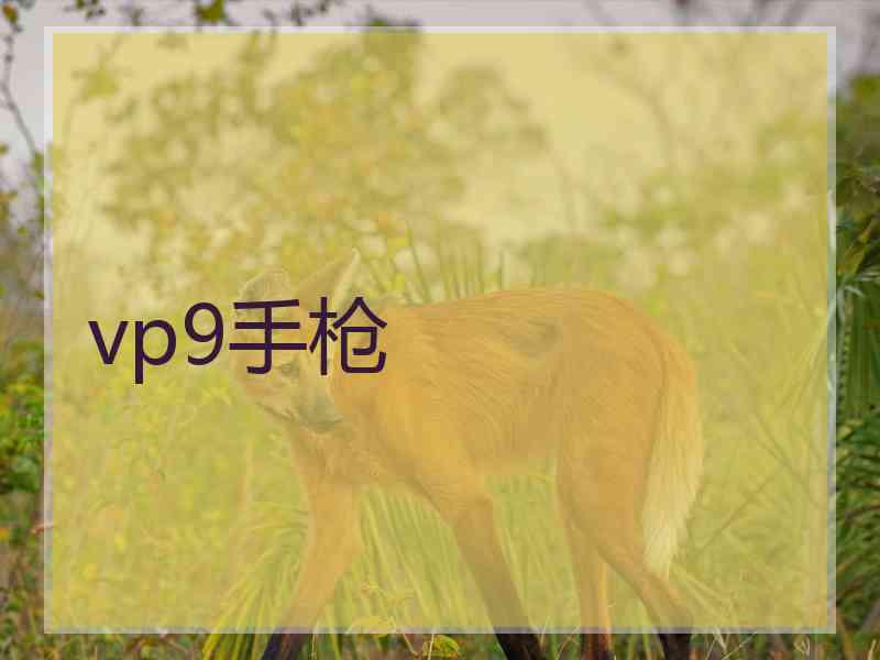 vp9手枪