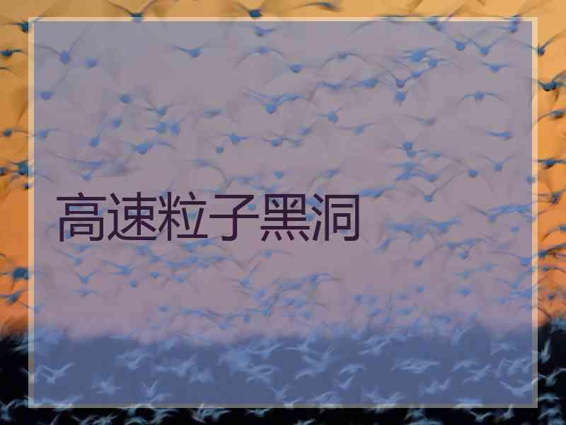 高速粒子黑洞