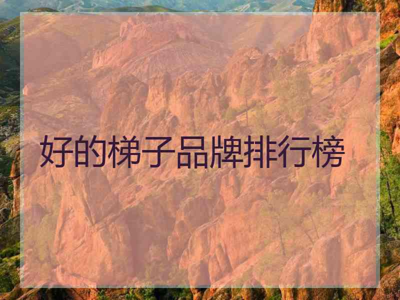 好的梯子品牌排行榜