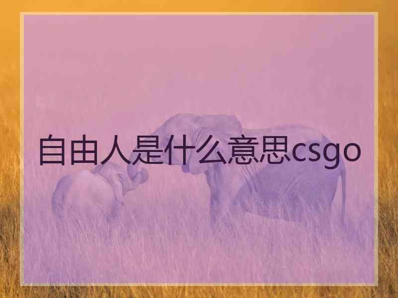 自由人是什么意思csgo