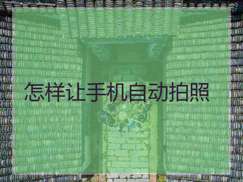 怎样让手机自动拍照
