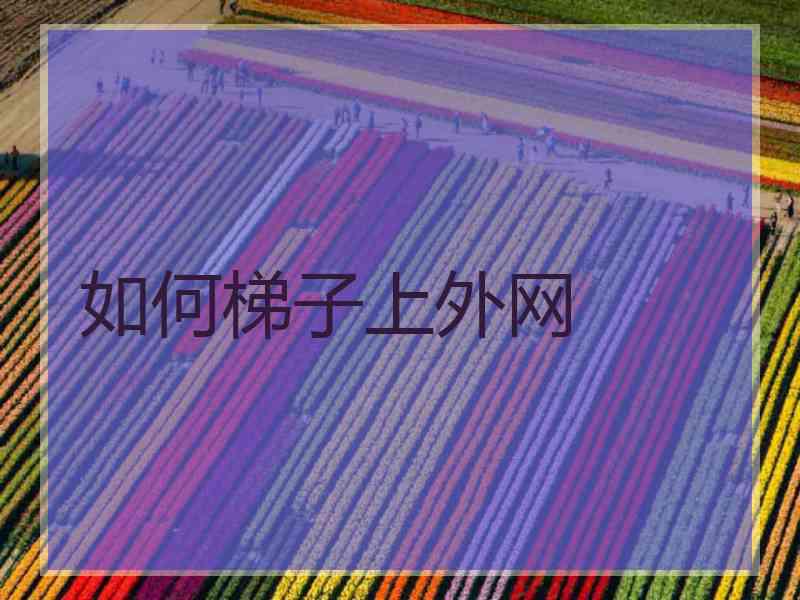 如何梯子上外网