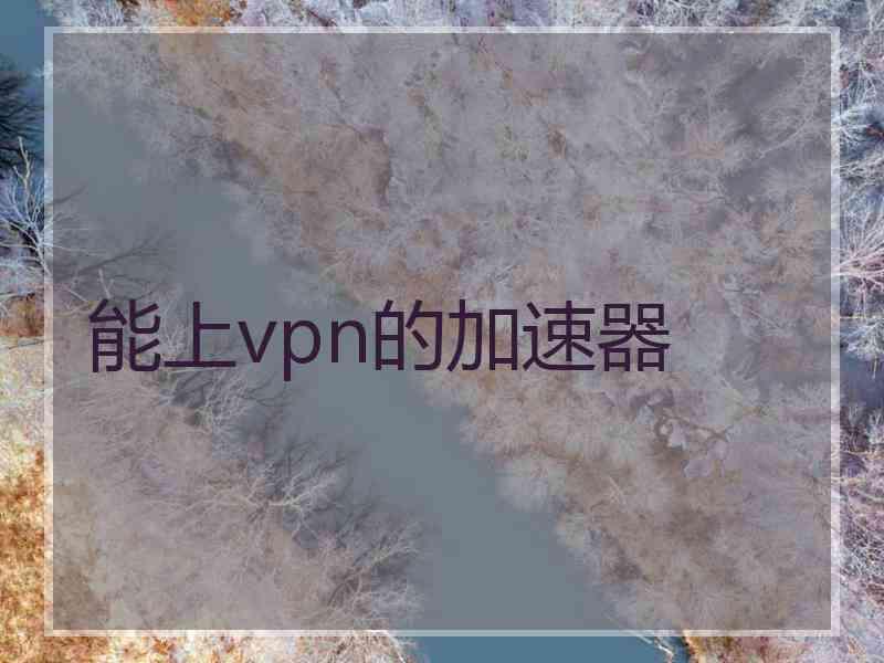 能上vpn的加速器