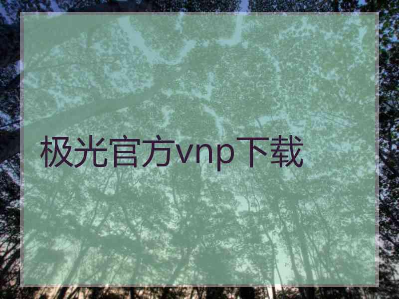 极光官方vnp下载