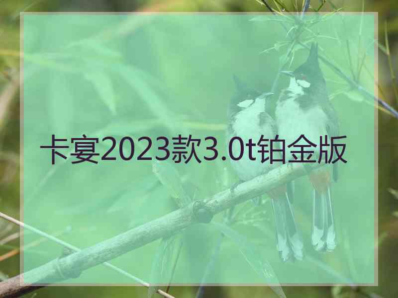 卡宴2023款3.0t铂金版