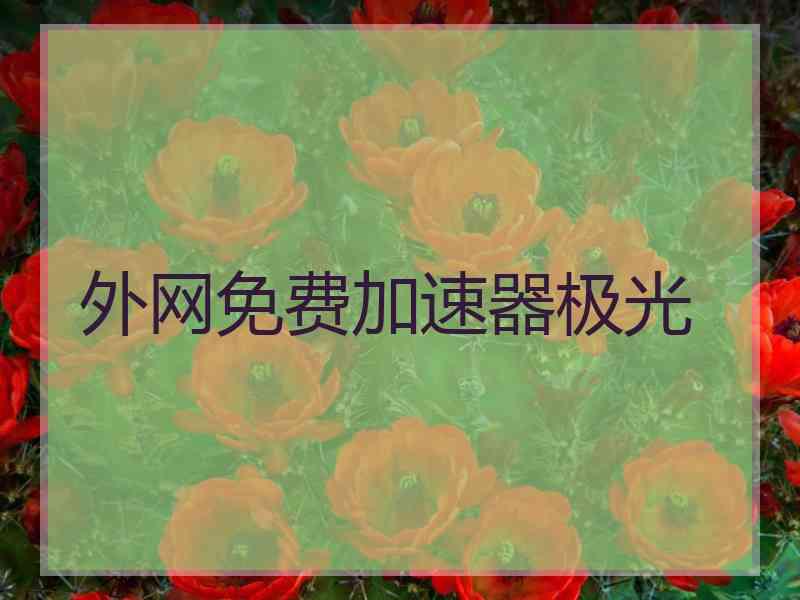 外网免费加速器极光