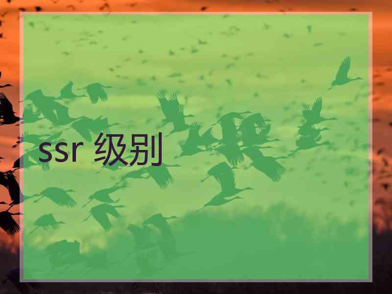 ssr 级别