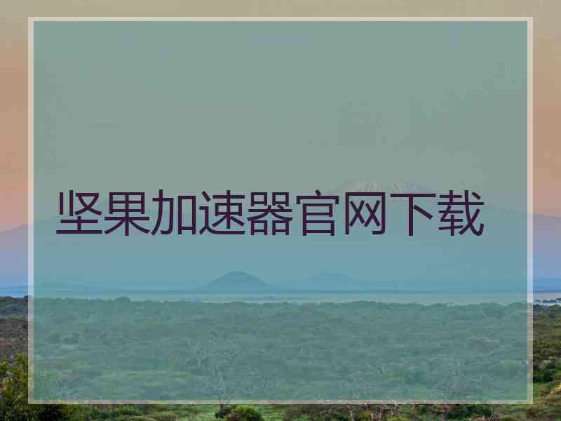 坚果加速器官网下载