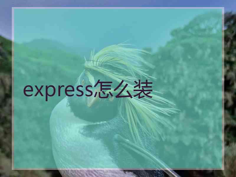 express怎么装