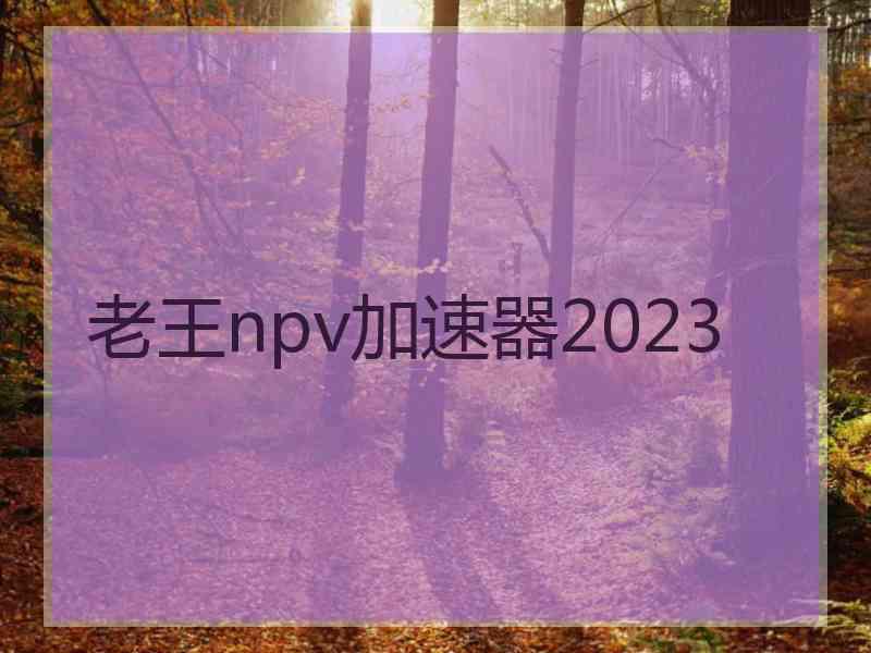 老王npv加速器2023