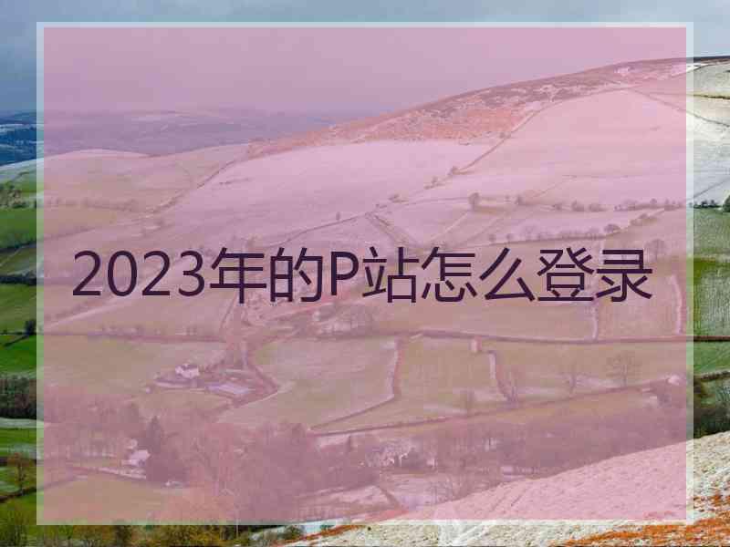 2023年的P站怎么登录