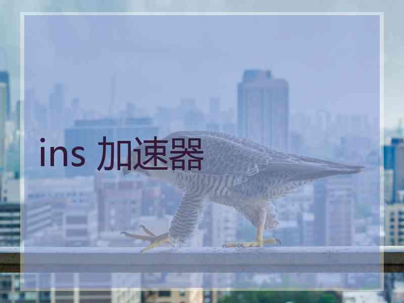 ins 加速器